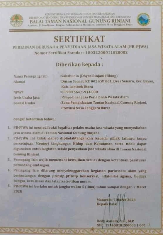 Dhyns Duccument Company 1