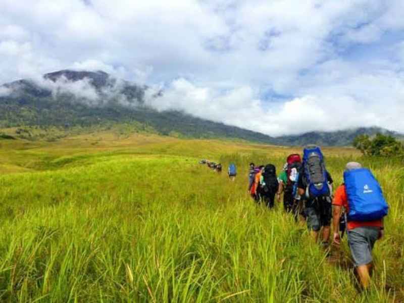 Rinjani Savana1